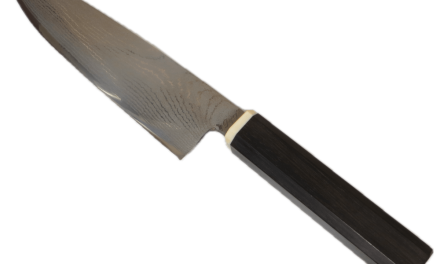 Couteaux de cuisine de Diego